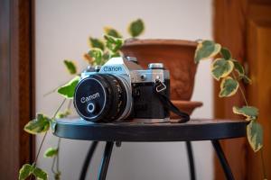une caméra assise sur une table à côté d'une plante en pot dans l'établissement Vico Antico, à San Martino dʼAgri