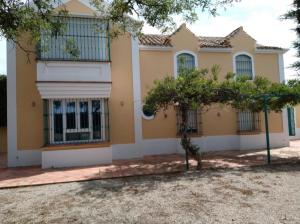 una casa gialla con un albero di fronte di Finca San Andrés a Santa Eulalia