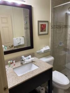 巴特勞特堡的住宿－阿什利宿舍酒店，一间带水槽、卫生间和镜子的浴室