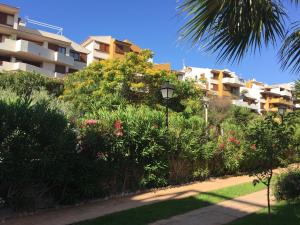 een tuin met bloemen en struiken voor een gebouw bij Torrevieja 200m from sea Punta Prima in Alicante