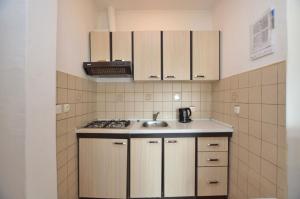 eine kleine Küche mit einer Spüle und einem Herd in der Unterkunft Apartments Vladislav in Opatija