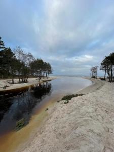 Wygodny eko domek koło nadmorskiego Parku Krajobrazowego في Karwieńskie Błoto Drugie: a body of water with trees on a beach
