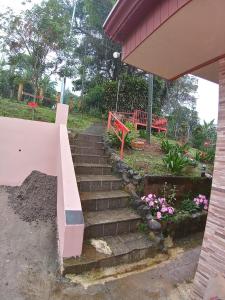 a set of stairs leading to a garden with flowers at Casa entre la naturaleza in San Marcos