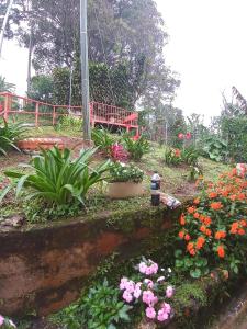 einen Garten mit Blumen und einer Brücke im Hintergrund in der Unterkunft Casa entre la naturaleza in San Marcos