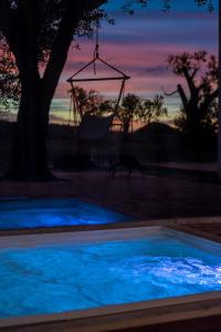 a swimming pool with a swing and a tree at Terecate Experimental Relais in Melendugno