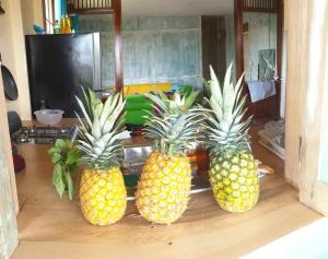 three pineapples sitting on top of a kitchen counter at Old Bocasso in Bocas del Toro