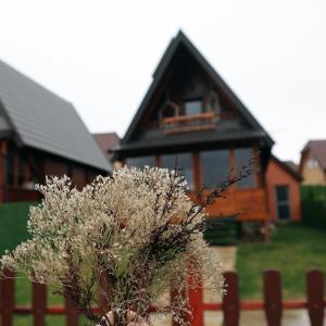 dom z płotem i rośliną przed nim w obiekcie Brvnara Čigota w mieście Zlatibor