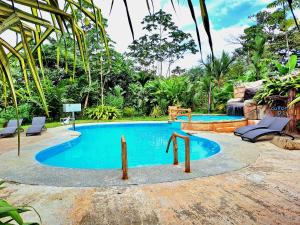 a swimming pool in a resort with two chairs at Hotel Rio Celeste to Know in Rio Celeste