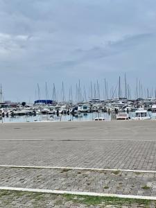 a marina with a bunch of boats in the water at Apartments Ljiljana in Bar