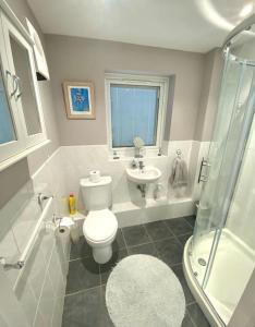 a bathroom with a toilet and a sink and a shower at Modern Spacious Annex -Ground Floor in Brightlingsea