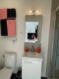 a bathroom with a toilet and a sink and a mirror at Le Villarois in Nancy +10 photos