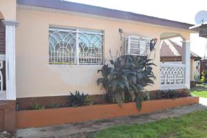 a house with windows and a plant in front of it at Fully air-condition 3Bed Villa - WiFi - hot water in Freetown