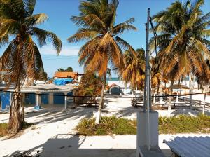 widok na plażę z palmami w obiekcie Costa Esmeralda w mieście El Cuyo