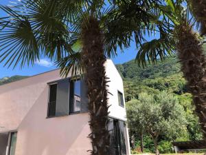 a building with a palm tree in front of it at Sinergia e Benessere in SantʼAntonino