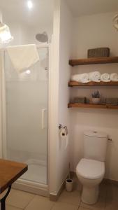 a bathroom with a toilet and a glass shower at L'appart d'à coté, 2 chambres in Sarlat-la-Canéda +36 photos