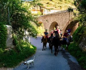 Apartamentos Can Juver في بيسييت: مجموعة من الناس يركبون الخيول على الطريق مع كلب