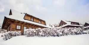 a log cabin in the snow with snow covered bushes at Drevenica Desina in Terchová