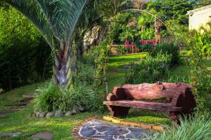 Casas del Toro في مونتيفيردي كوستاريكا: كرسي خشبي جالس في وسط حديقة