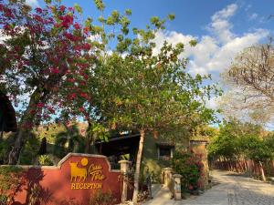 弗拉明戈海灘的住宿－Casas del Toro Playa Flamingo，一座有花树的建筑