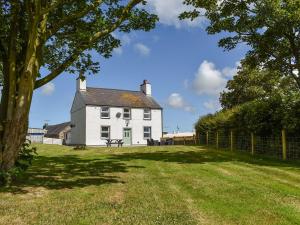 una casa bianca in un campo con un albero di Llwyn Yr Arth a Llanbabo