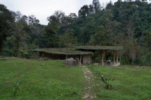 a building with a grass roof in a field at Espacio Pilam y cascada privada! in Xico
