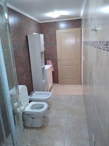 La salle de bains est pourvue de toilettes, d'une douche et d'une porte. dans l'établissement Casona confortable y cálida con hermoso jardín, à Río Gallegos