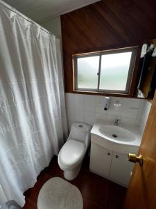 een badkamer met een toilet, een wastafel en een raam bij Hostal Katemu in Villarrica