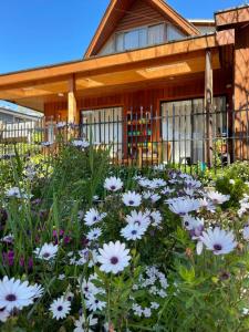un jardín con flores blancas frente a una casa en Hostal Katemu en Villarrica