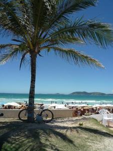 a bike parked next to a palm tree on the beach at Apartamento Cabo Frio in Cabo Frio