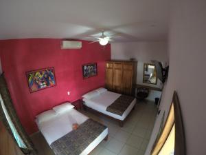 瓜亚比托斯Kiramar los Peyotes的相册照片 更多24张照片