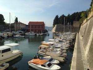 Un montón de barcos están atracados en un puerto en Apartment Ella Mare en Zadar