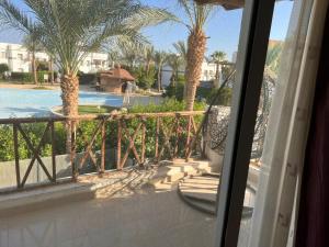 een balkon met uitzicht op een zwembad en palmbomen bij Sunterra in Sharm El Sheikh