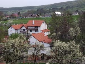 Billede fra billedgalleriet på Pensiunea SilvAnka i Vîlcele + 119 billeder