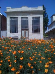 a field of orange flowers in front of a building at Luxury 1920s Bank Loft, Art Gallery & Music Space in Tomales, CA in Tomales