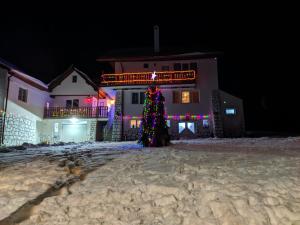 Billede fra billedgalleriet på Pensiunea SilvAnka i Vîlcele