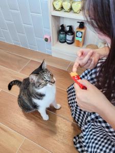 Ospiti di Mika BnB con animali domestici
