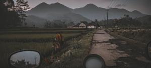 빌라 주변 자연 경관