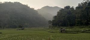 빌라 주변 자연 경관
