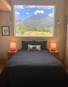 Foto de la galería de COZY PEACEFUL WILLOW CREEK CABIN en Crestone