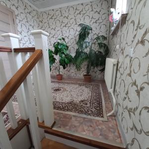 einen Flur mit einer Treppe mit Topfpflanzen an der Wand in der Unterkunft Hotel "Тихий Дом Трансфер" in Bischkek