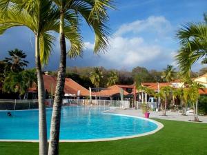 una grande piscina con palme in primo piano di Color Garden - Studio Martinique a Sainte-Anne
