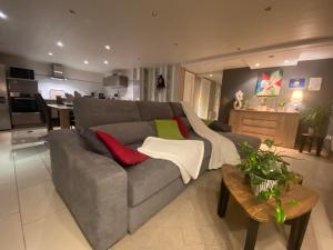 a living room with a gray couch with red and green pillows at Gîte de la Vallée in Dambach