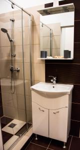 Koupelna v ubytování Molnar Apartment in the city center