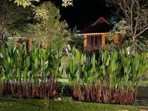 a garden with green plants in front of a house at Pura Vida Pai Resort in Pai