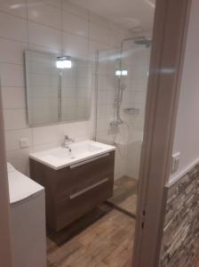 ein Bad mit einem Waschbecken, einer Dusche und einem Spiegel in der Unterkunft Gîte De La Souris Verte in Molamboz