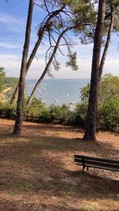 una panchina del parco seduta accanto a due alberi e all'oceano di :Le tchanqué du bassin d'arcachon a Lège-Cap-Ferret