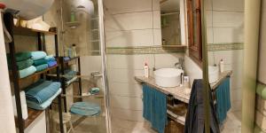 Koupelna v ubytování Tinyhouse im Patio einer romantischen Finca + 25 fotografií