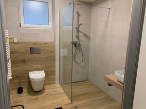 a bathroom with a shower and a toilet and a sink at Penzión Talisman in Rajecké Teplice