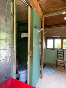 a bathroom with a blue toilet in a room at Jolie cabane avec jacuzzi pour les amoureux de la nature in Tullins