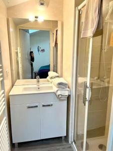 een badkamer met een wastafel, een douche en een spiegel bij Le Repaire, accès terrasse de l'établissement in Rives